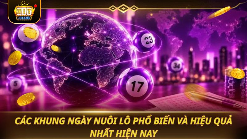 Các khung ngày nuôi lô phổ biến và hiệu quả nhất hiện nay