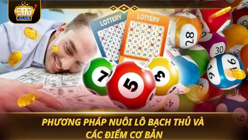 Phương pháp nuôi lô bạch thủ và các điểm cơ bản