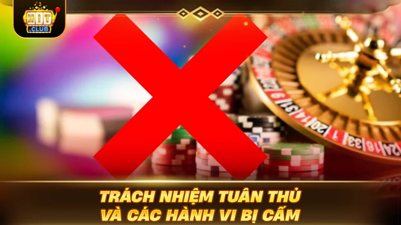 ĐIỀU KHOẢN SỬ DỤNG HITCLUB: BÍ MẬT GAMER PHẢI BIẾT Trách nhiệm tuân thủ và các hành vi bị cấm